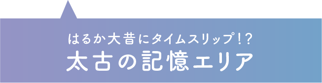 はるか大昔にタイムスリップ！？　太古の記憶エリア