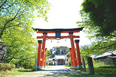 丹生官省符神社の写真